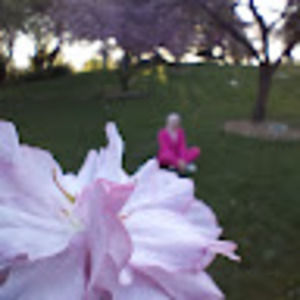 Meet your Posher, Wiwi